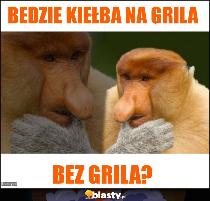 Bedzie kiełba na grila