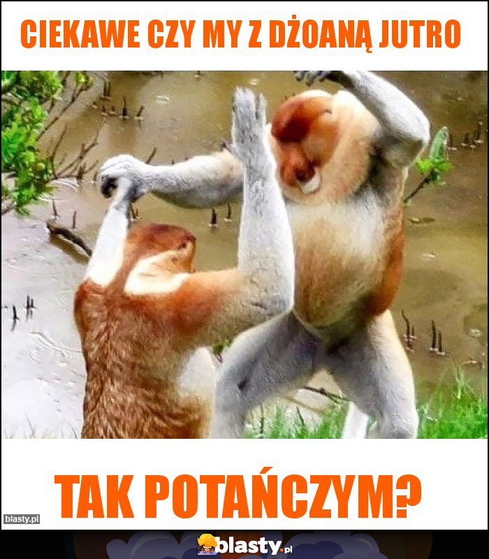 Ciekawe czy my z dżoaną jutro