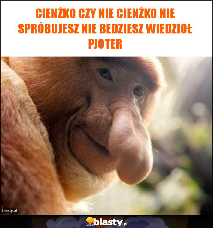 cienżko czy nie cienżko nie spróbujesz nie bedziesz wiedzioł pjoter