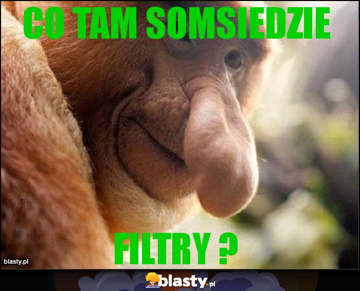 Co tam somsiedzie