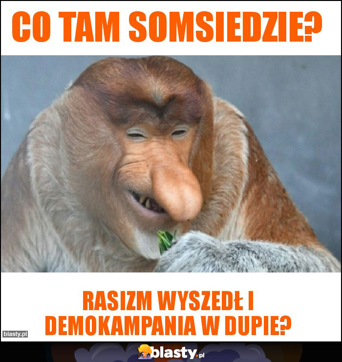 Co tam somsiedzie?
