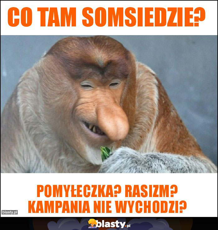 Co tam somsiedzie?