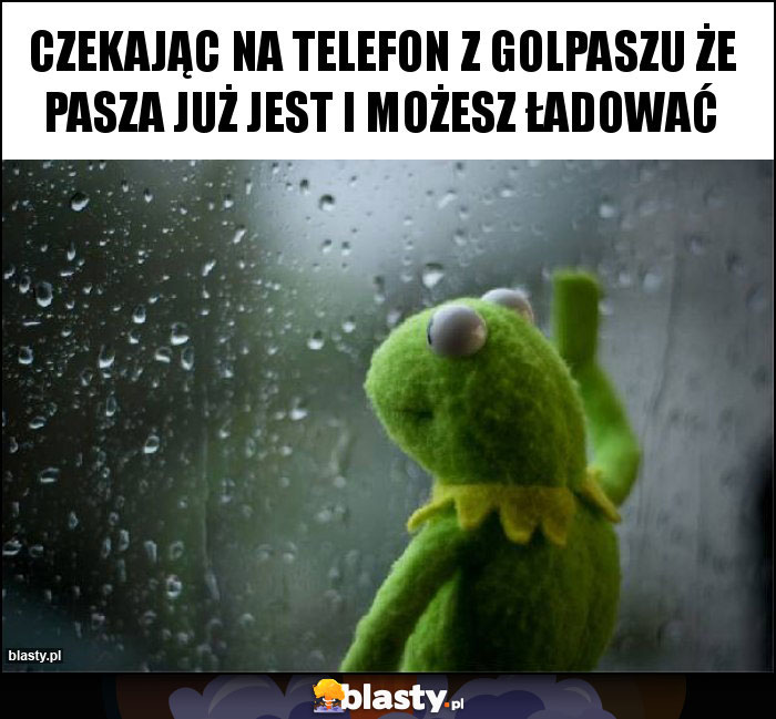 Czekając na telefon z golpaszu że pasza już jest i możesz ładować