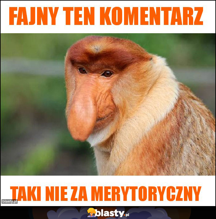 Fajny ten komentarz