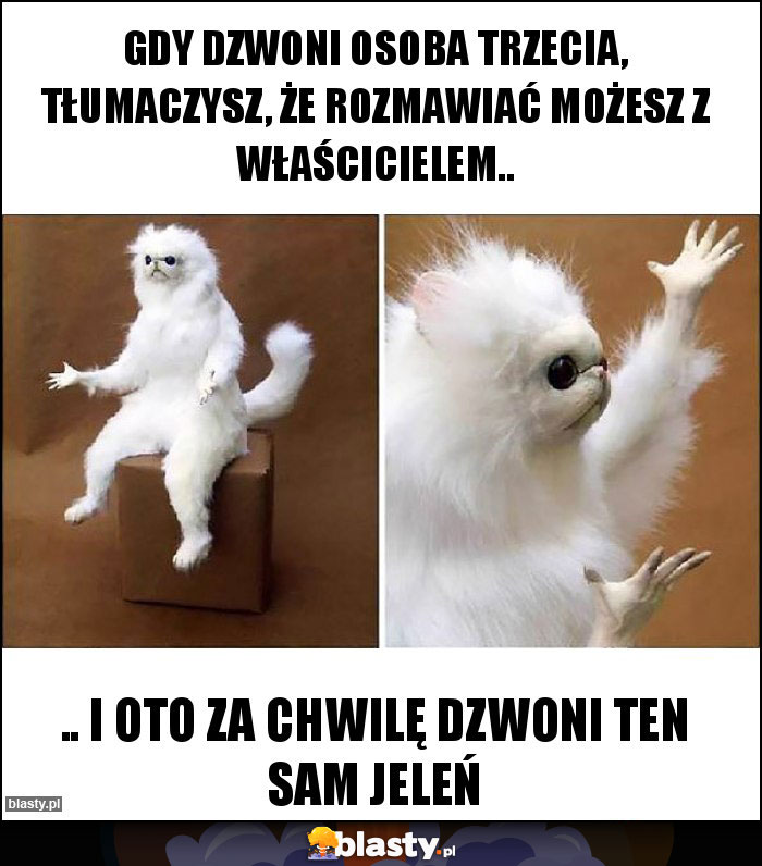 Gdy dzwoni osoba trzecia, tłumaczysz, że rozmawiać możesz z właścicielem..