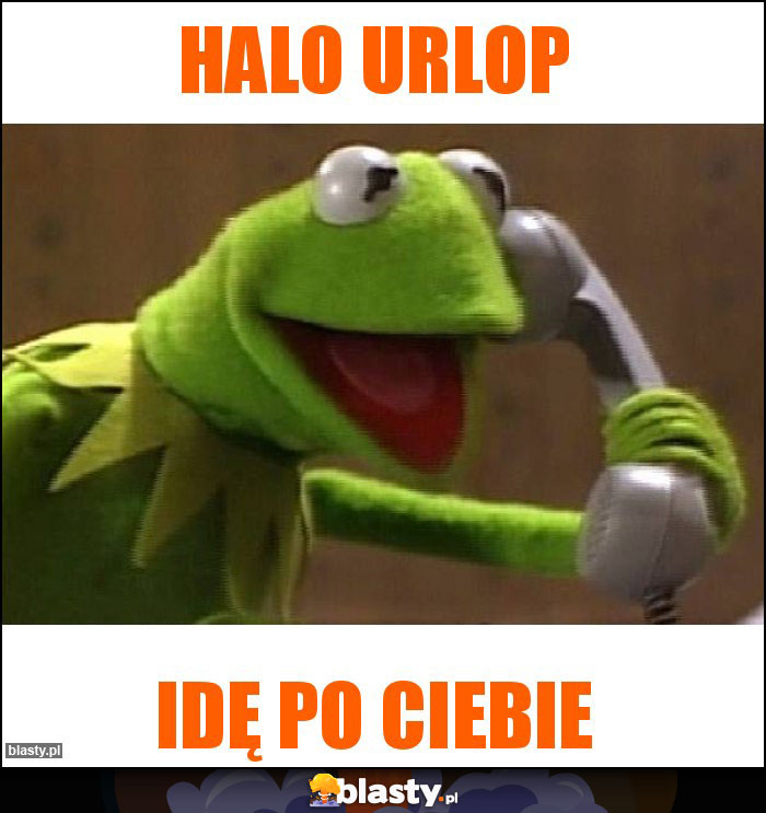 Halo urlop