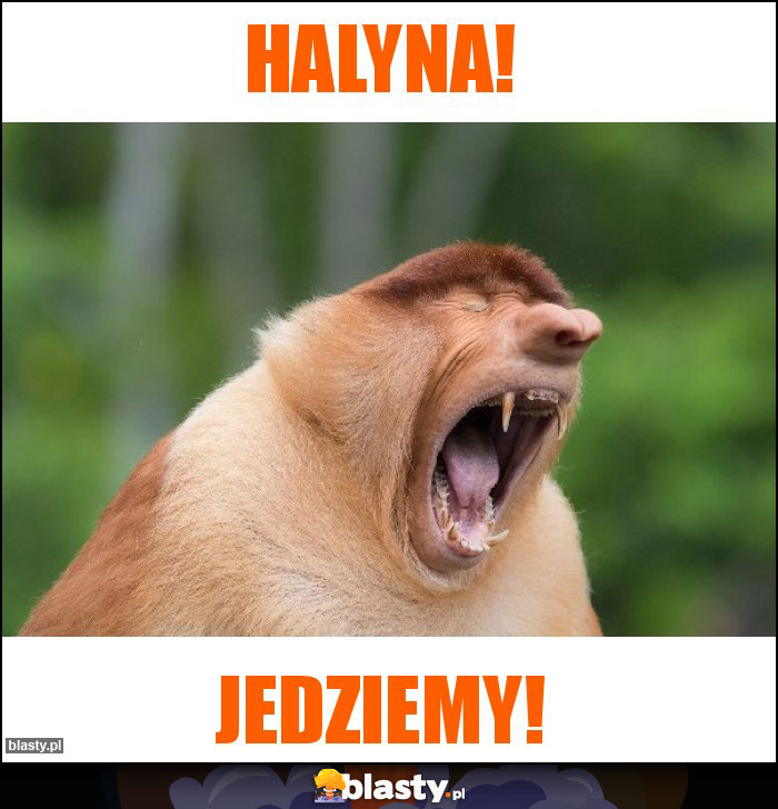 Halyna!