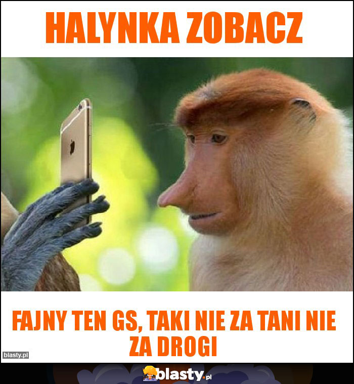 Halynka zobacz