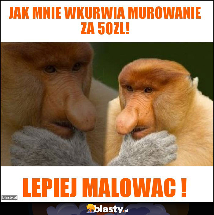 Jak mnie wkurwia murowanie za 50zl!