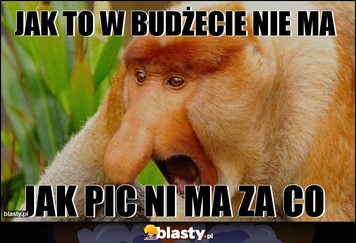 JAK TO W BUDŻECIE NIE MA