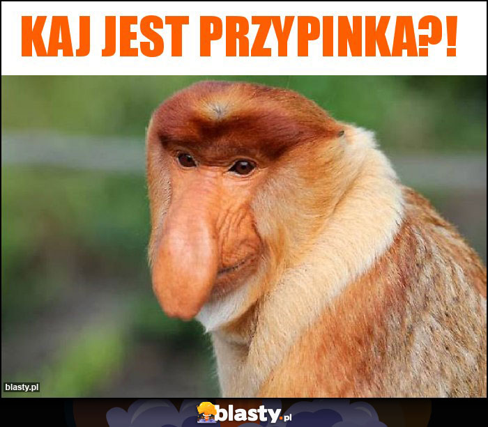 Kaj jest przypinka?!
