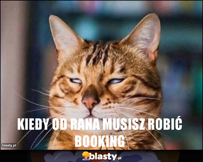 kiedy od rana musisz robić booking
