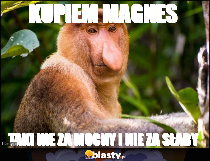 Kupiem Magnes