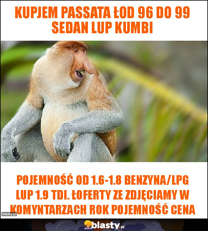 kupjem passata łod 96 do 99 sedan lup kumbi