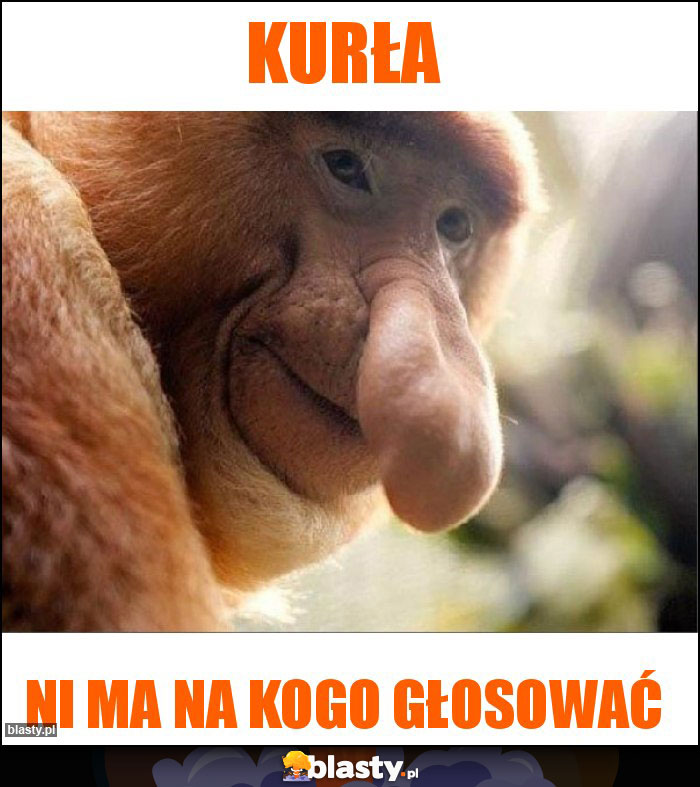 kurła