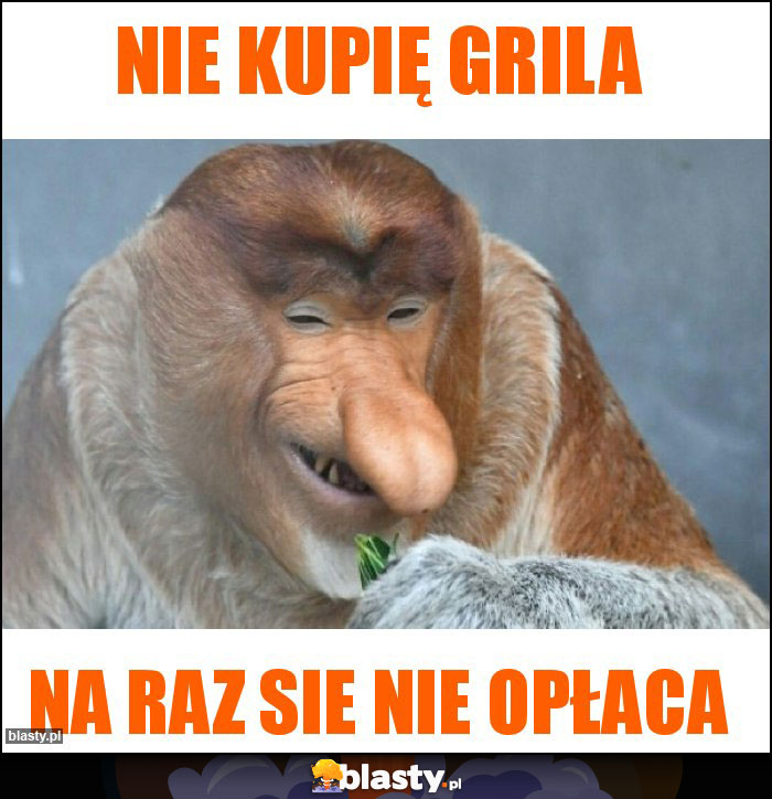 Nie kupię grila