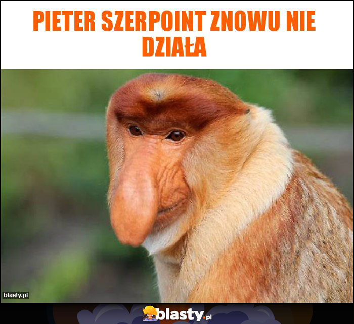 Pieter szerpoint znowu nie działa