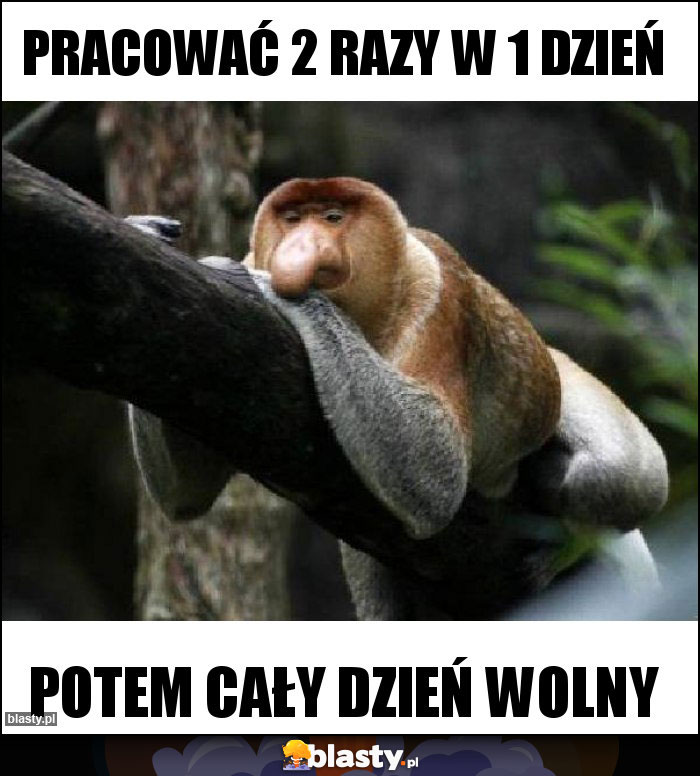 Pracować 2 razy w 1 dzień