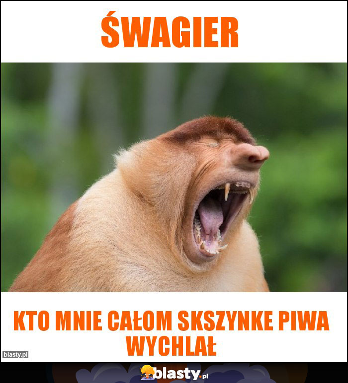 Śwagier