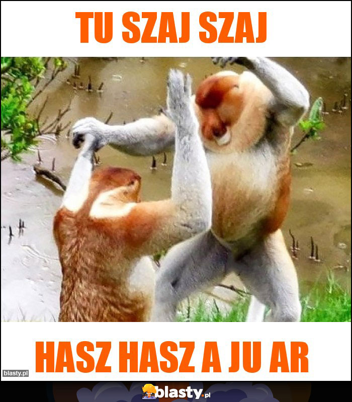 Tu szaj szaj