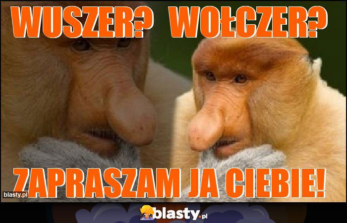 Wuszer?  Wołczer?