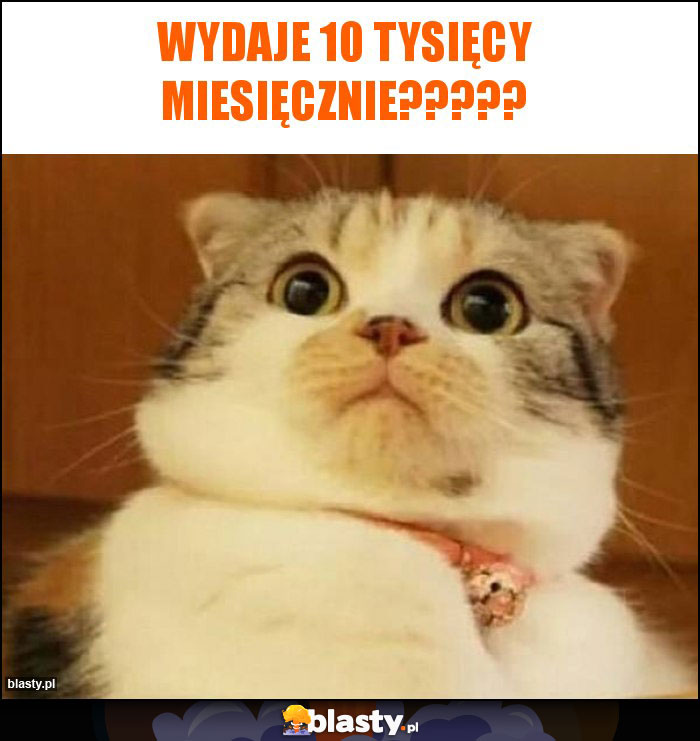 Wydaje 10 tysięcy miesięcznie?????