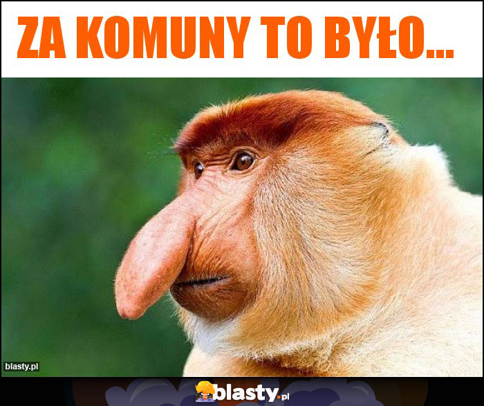 ZA KOMUNY TO BYŁO...