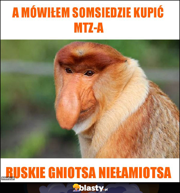 A mówiłem somsiedzie kupić MTZ-a