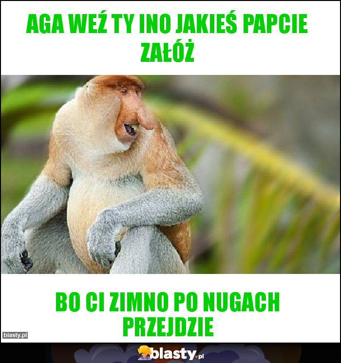 Aga weź ty ino jakieś papcie załóż
