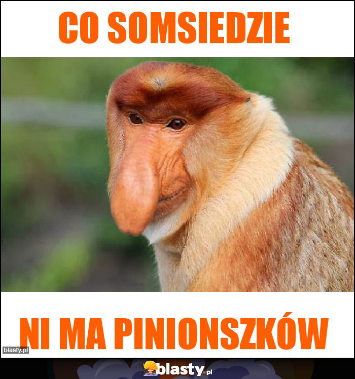 CO SOMSIEDZIE
