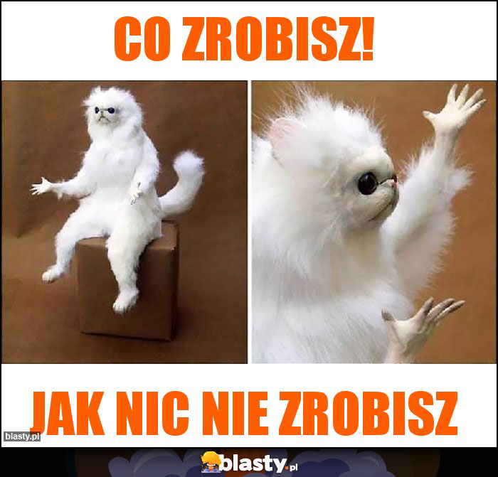 co zrobisz!