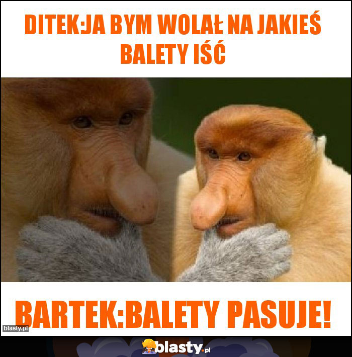 Ditek:ja bym wolał na jakieś balety iść