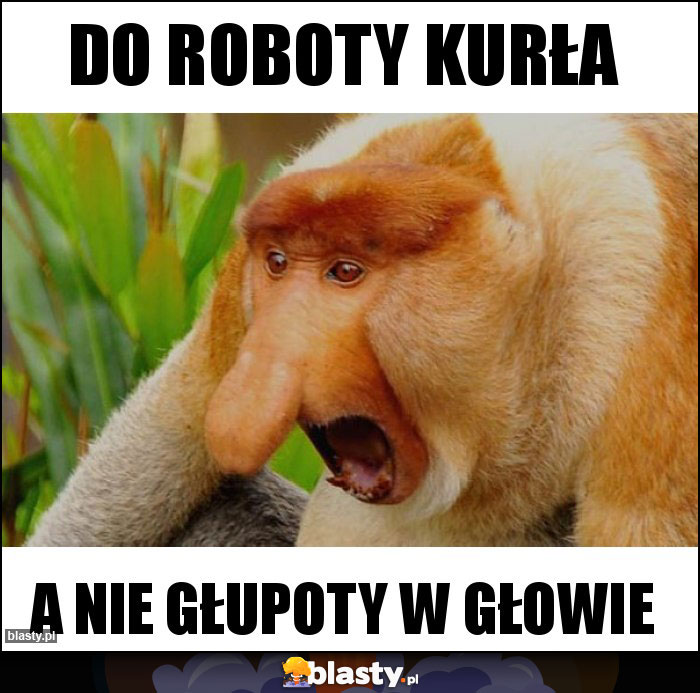 DO ROBOTY KURŁA