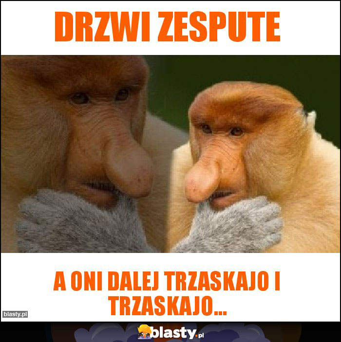 DRZWI ZESPUTE