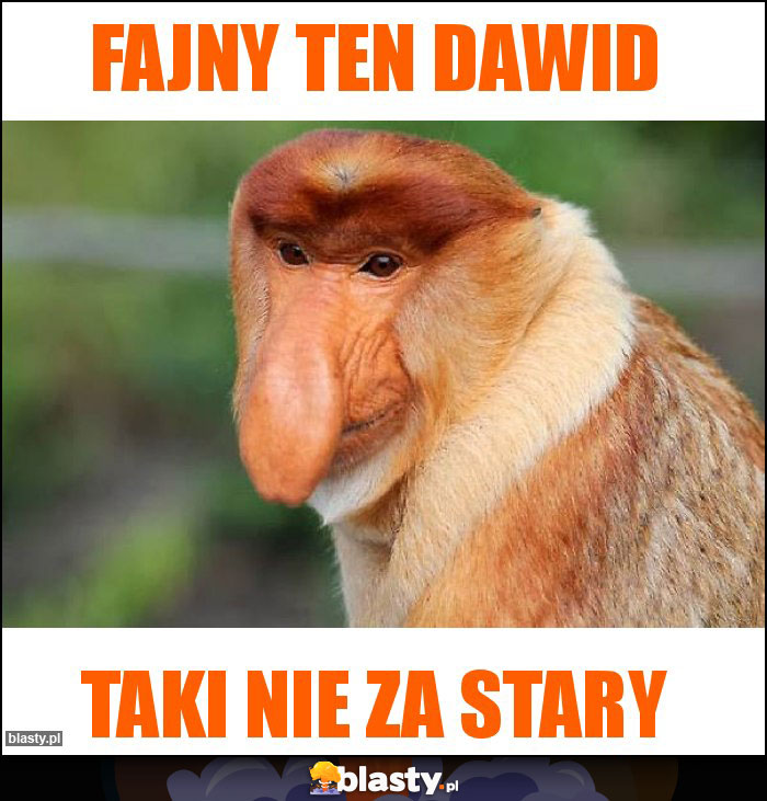 Fajny ten dawid