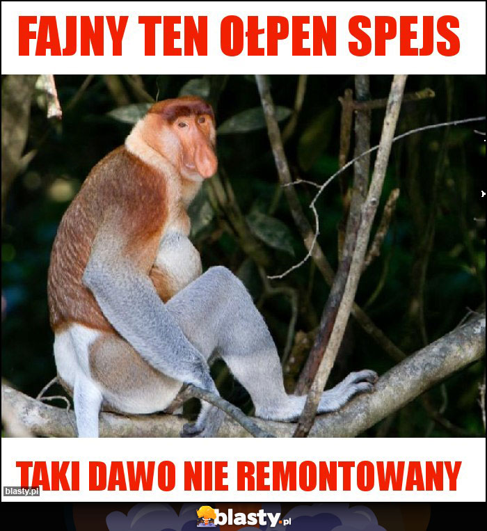 Fajny ten OŁPEN SPEJS