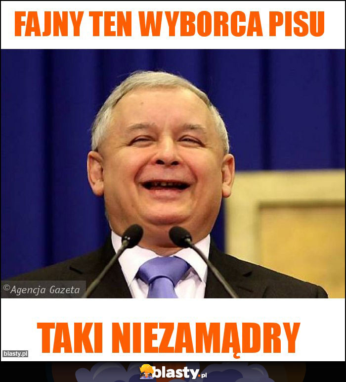 Fajny ten wyborca Pisu