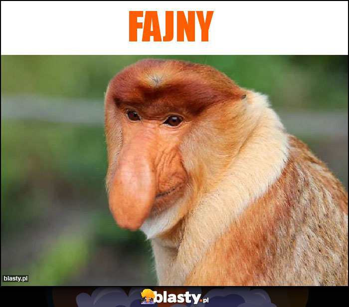 Fajny