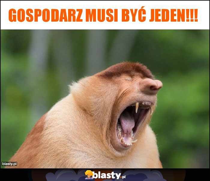 Gospodarz musi być jeden!!!