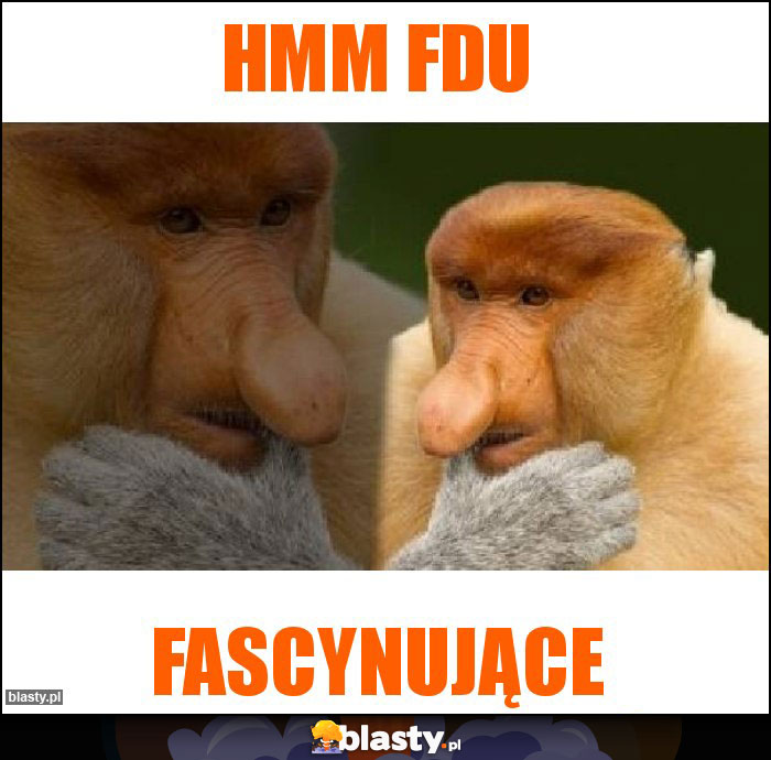 hmm FDU