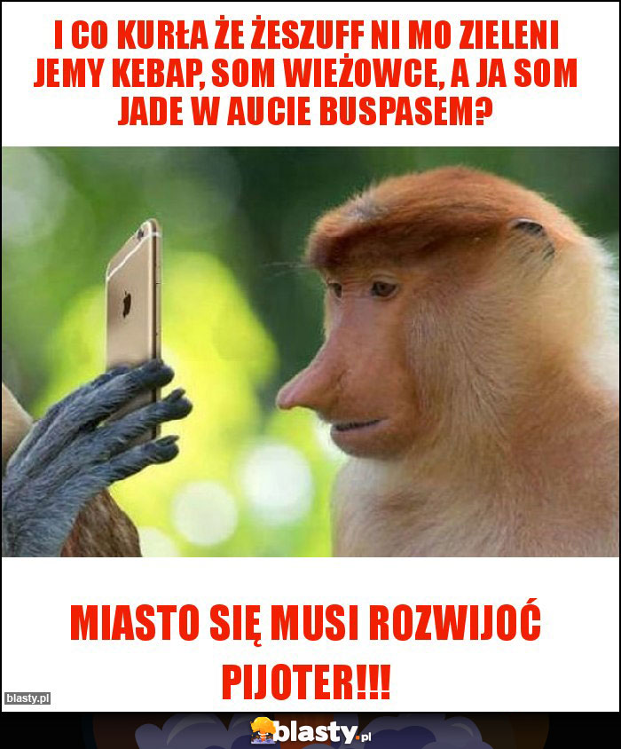I CO KURŁA ŻE ŻESZUFF NI MO ZIELENI JEMY KEBAP, SOM WIEŻOWCE, A JA SOM JADE W AUCIE BUSPASEM?
