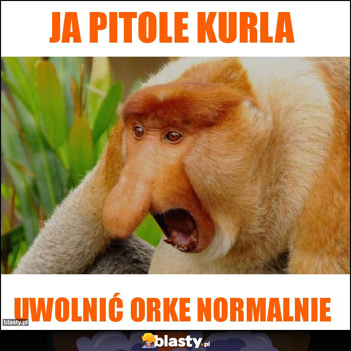 Ja pitole kurla