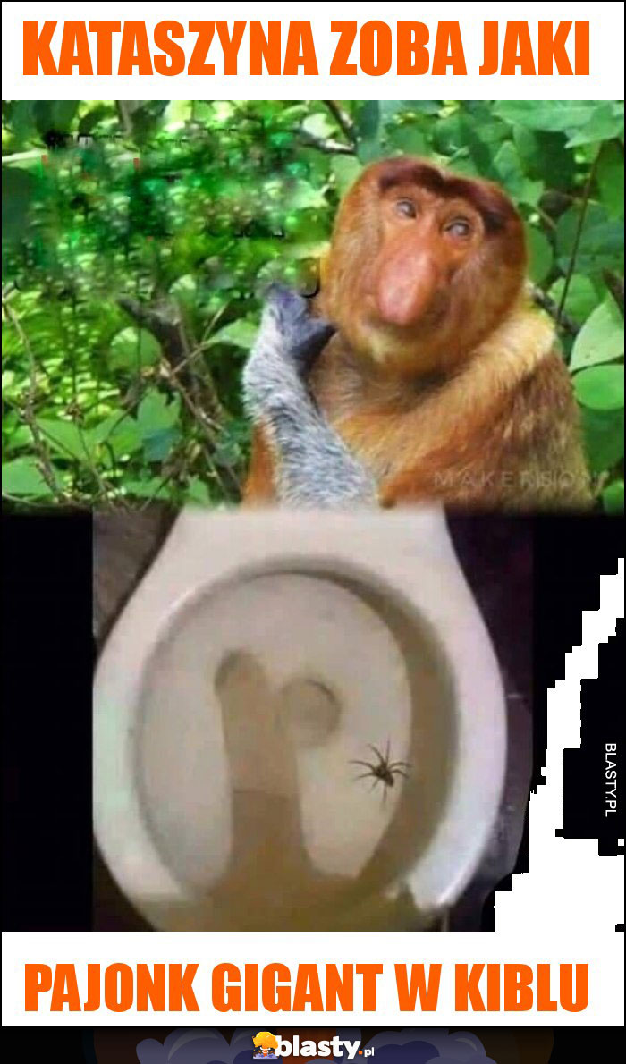 KATASZYNA ZOBA JAKI