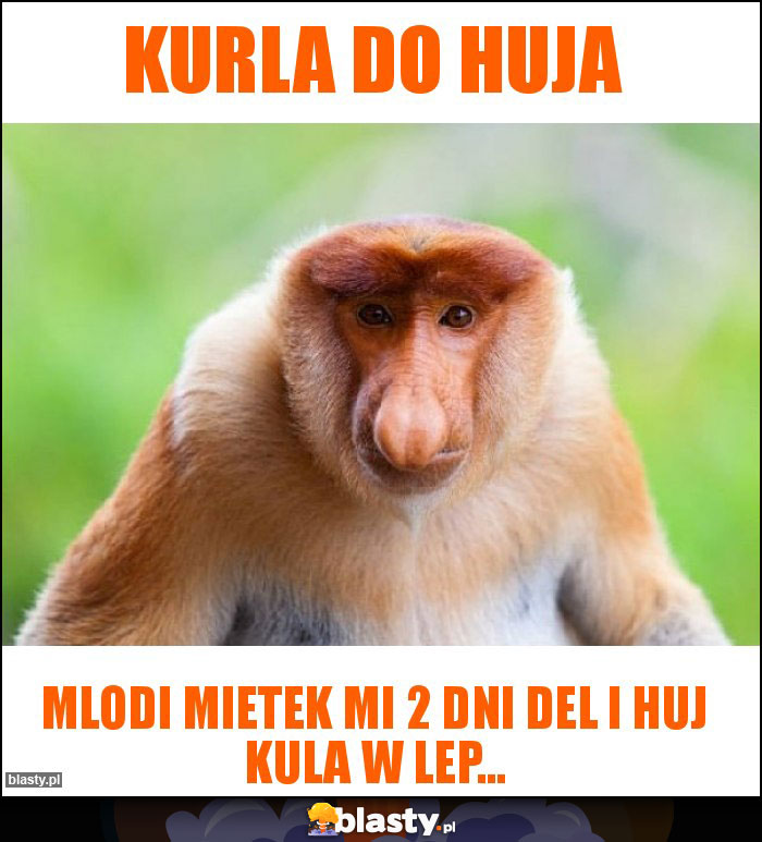 Kurla do huja
