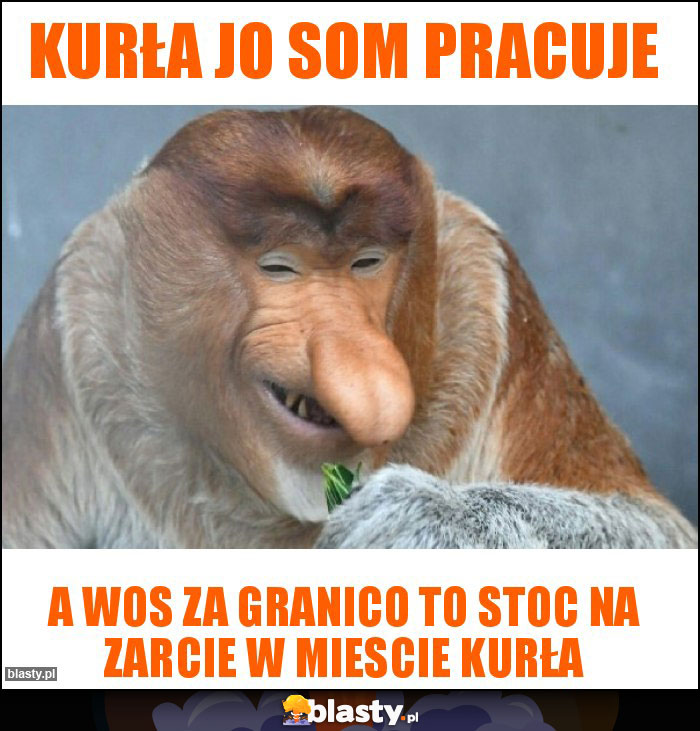 Kurła jo som pracuje