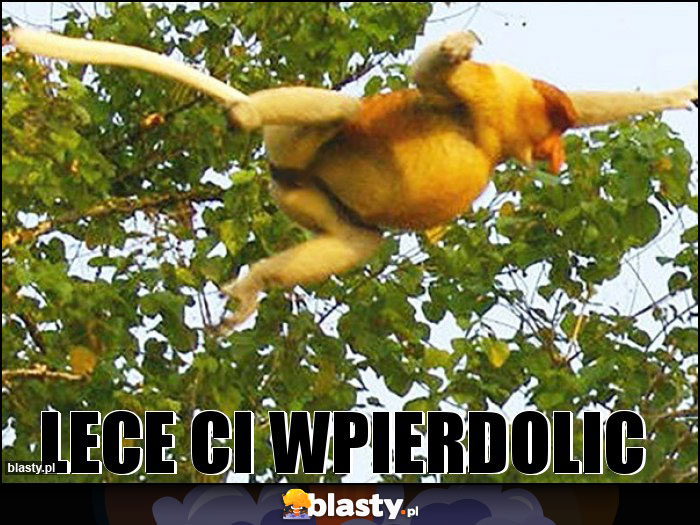 Lece ci wpierdolic