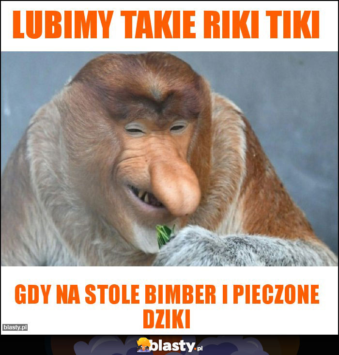 Lubimy takie riki tiki