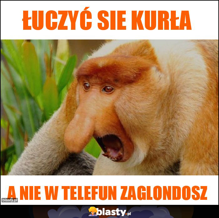 ŁUCZYĆ SIE KURŁA