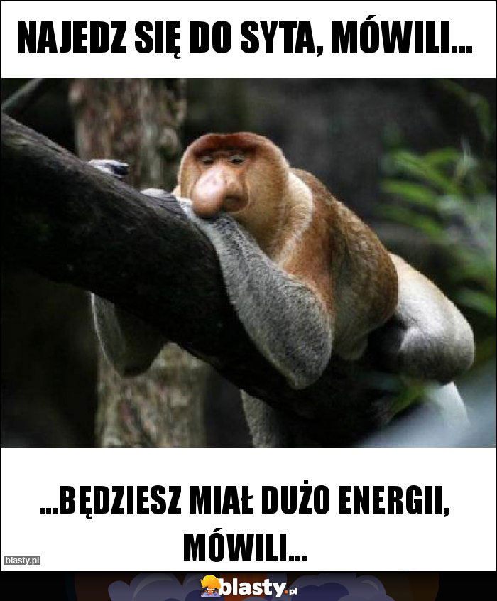 Najedz się do syta, mówili...