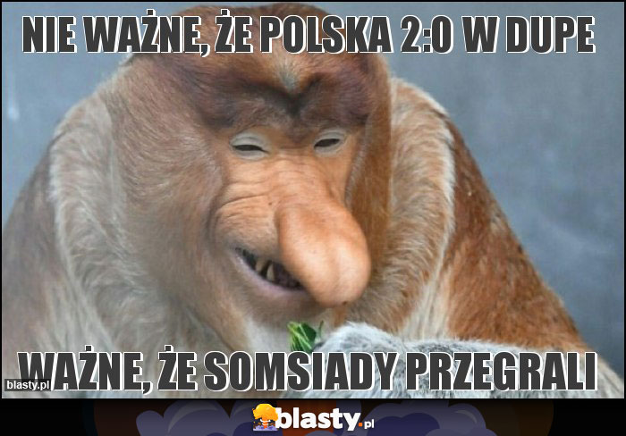 Nie ważne, że polska 2:0 w dupe